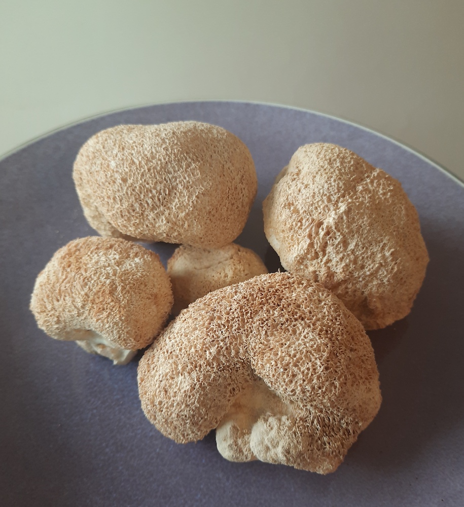 Organic Lions Mane