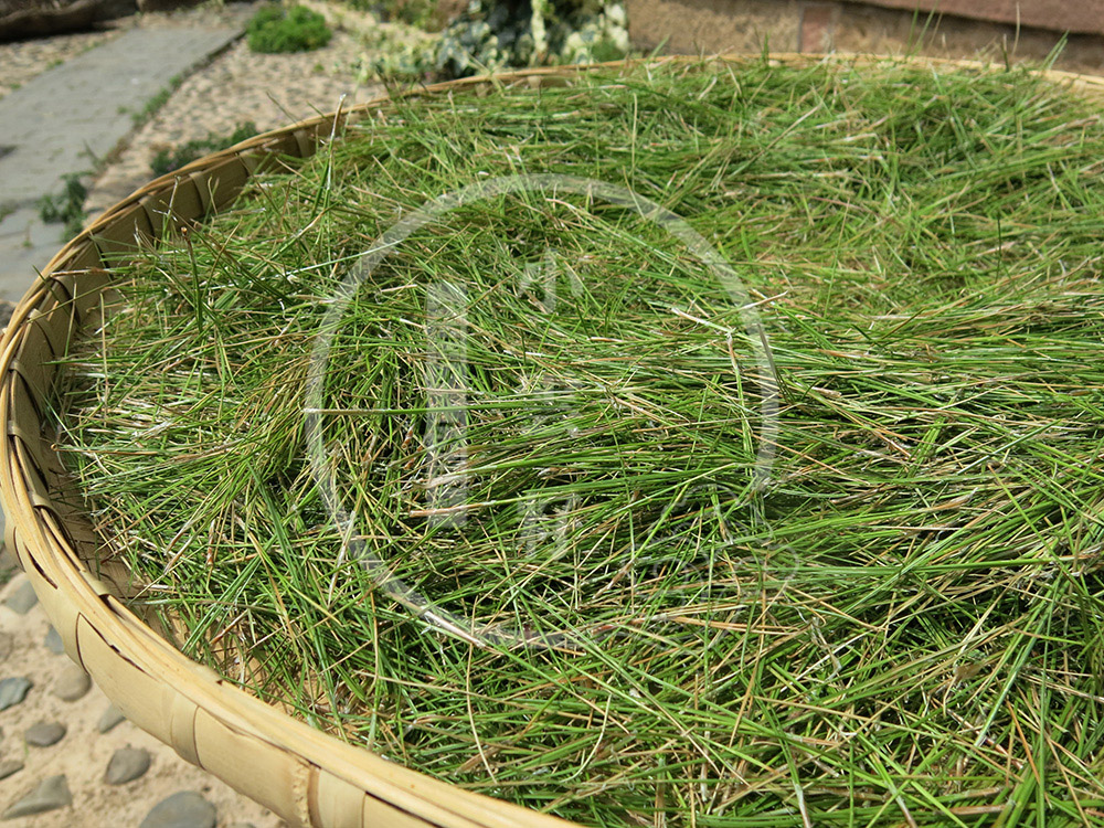 Wild Pine Needle and Green Tea from Yunnan