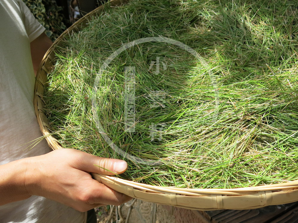 Wild Pine Needle and Green Tea from Yunnan