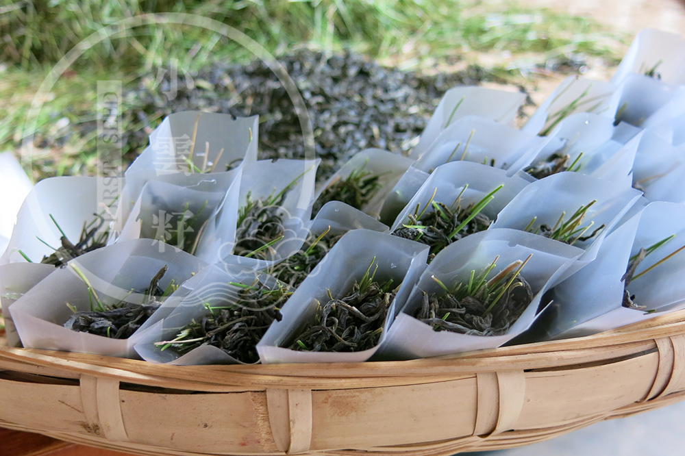 Wild Pine Needle and Green Tea from Yunnan