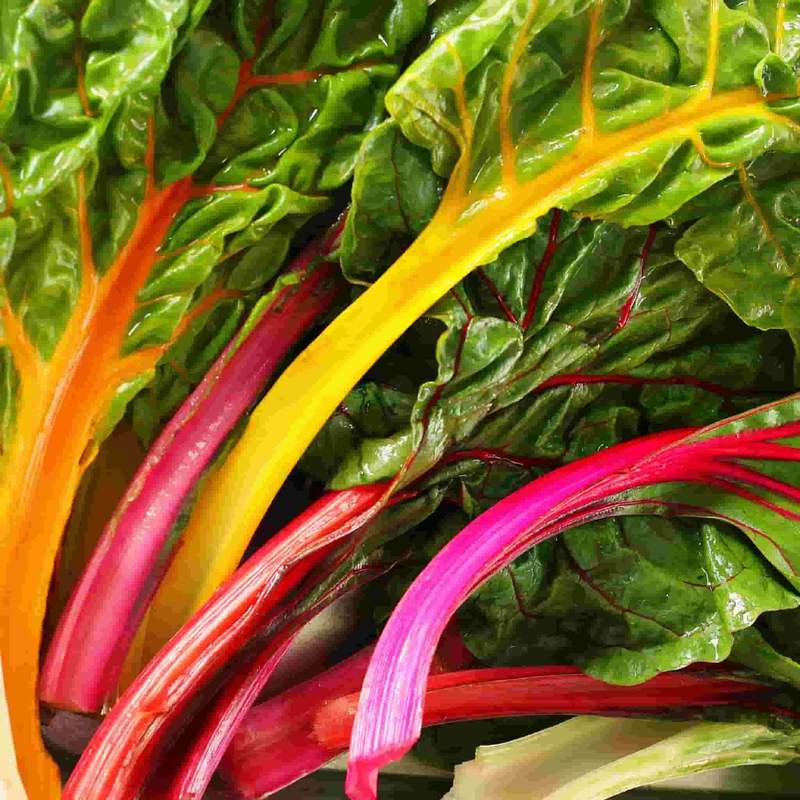 Local organic swiss chard / spinach beet