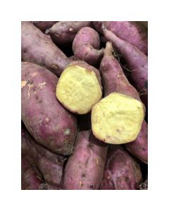 Local Organic Japanese Sweet Potato