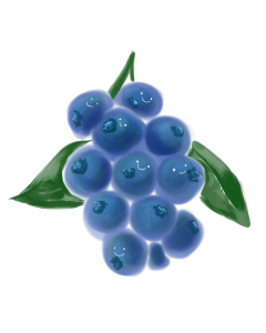 Organic blueberries from Highland