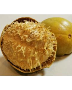 Golden Monk Fruits (pesticide-free, low-temp vacuum-drying)