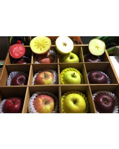 Organic Highland Special Species Apples Boxset