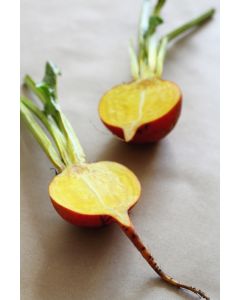 Local Organic Golden Beetroot