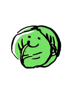 Local Organic Lettice