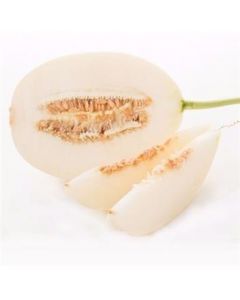Organic White Skin Sweet Melon (1.5-2lb each)
