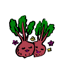 Organic Fresh Beetroot from Hong Kong