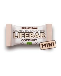 Raw Organic Coconut MINI Energy Bar