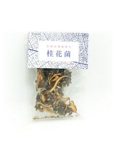 Wild Osmanthus Fragrans from Yunnan