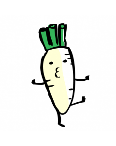 Organic Big White Radish (Japanese Daikon) from Hong Kong