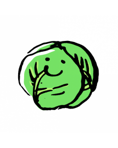 Local Organic Cabbage