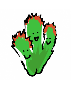 Organic Fresh Salad Green from Hong Kong