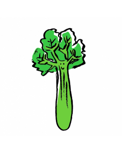 Local Organic Chinese Celery