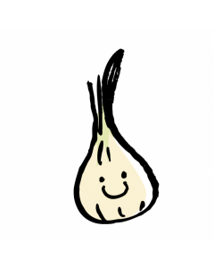 Organic Onion from Hong Kong (1pc)