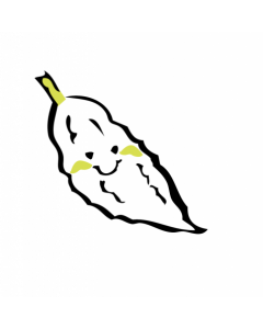 Organic White Bitter Melon from Hong Kong