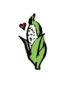 Local Organic White Sweet Corn