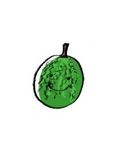 Organic Water Melon from Hong Kong(~2lb)