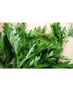 Young Argy Wormwood Leaves (for making cakes)