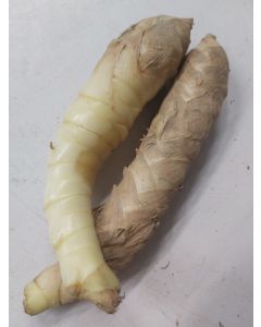 Fresh Organic Bamboo Yam from Hong Kong