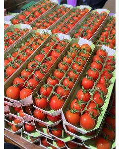 Organic Red Cherry Tomatoes from Highland