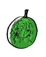 Local Organic Water Melon (approx. 1.8-2 lbs)