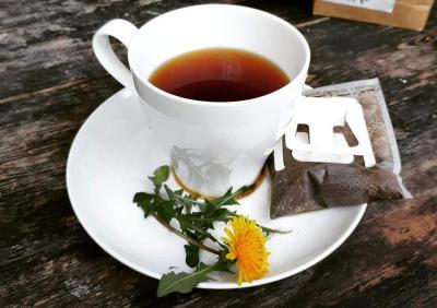 野生蒲公英 - 神奇的咖啡味草藥